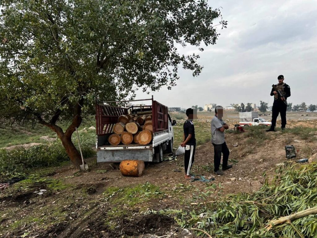 شرطة البيئة تضبط 4 أشخاص متلبسين بقطع أشجار معمّرة في نينوى 